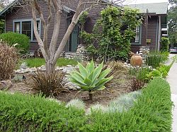 lawn-care-los-angeles