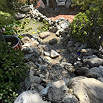 photo gallery